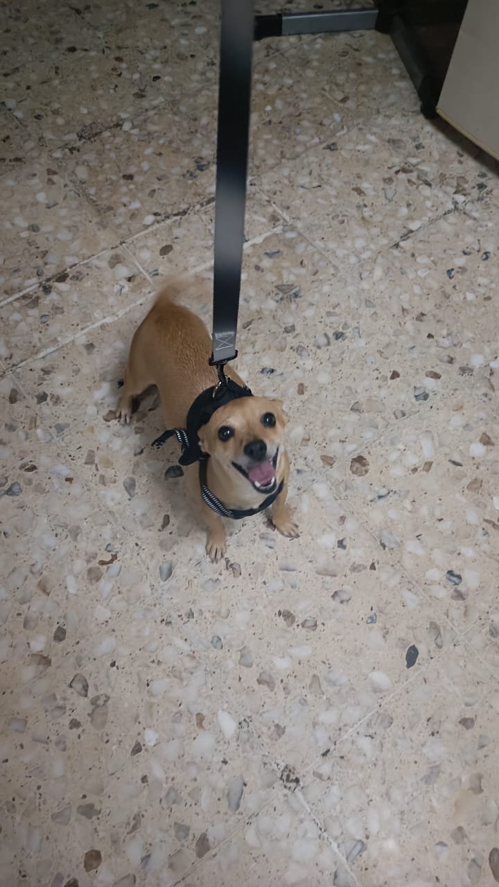 Kyra, compañera de Mariale